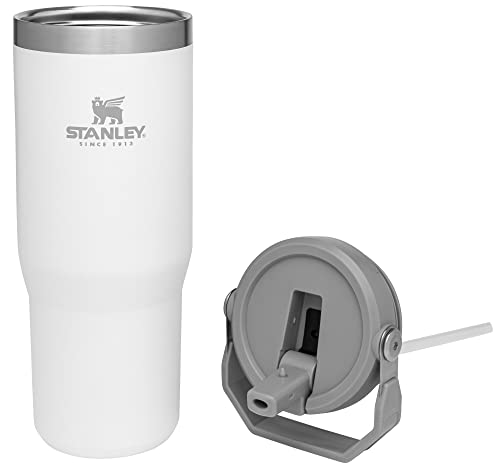 Stainless Steel Tumbler with Straw - Vacuum Insulated Water Bottle for Home