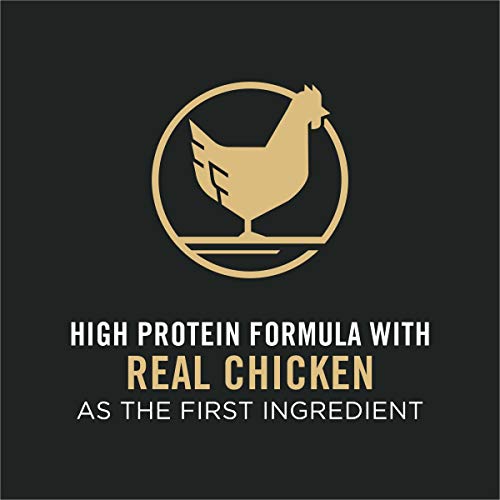 High Protein Dog Food With Probiotics for Dogs, Shredded Blend Chicken & Rice Formula - 18 lb. Bag