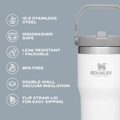 Stainless Steel Tumbler with Straw - Vacuum Insulated Water Bottle for Home