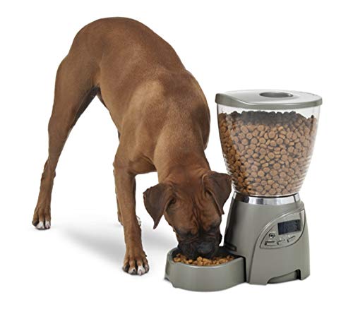 Petmate Portion Right Programmable Dog and Cat Feeder 2 Sizes Brushed Nickel