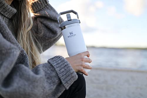 Stainless Steel Tumbler with Straw - Vacuum Insulated Water Bottle for Home