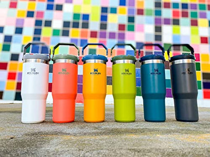 Stainless Steel Tumbler with Straw - Vacuum Insulated Water Bottle for Home