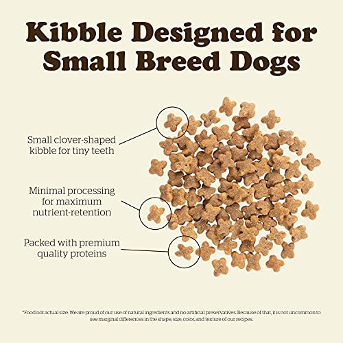 Dog Food for Small Breeds, Turkey, Salmon and Duck Recipe, 6 lbs - Grain Free, Small Breed Dog Food, Made with Real Meat and Fish for Small and Mini Breeds