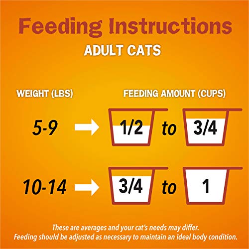 Dry Cat Food, Tender & Crunchy Combo - 16 lb. Bag