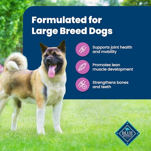 Life Protection Formula Large Breed Adult Dry Dog Food, Promotes Joint Health and Lean Muscles, Made with Natural Ingredients, Lamb & Brown Rice Recipe, 30-lb. Bag