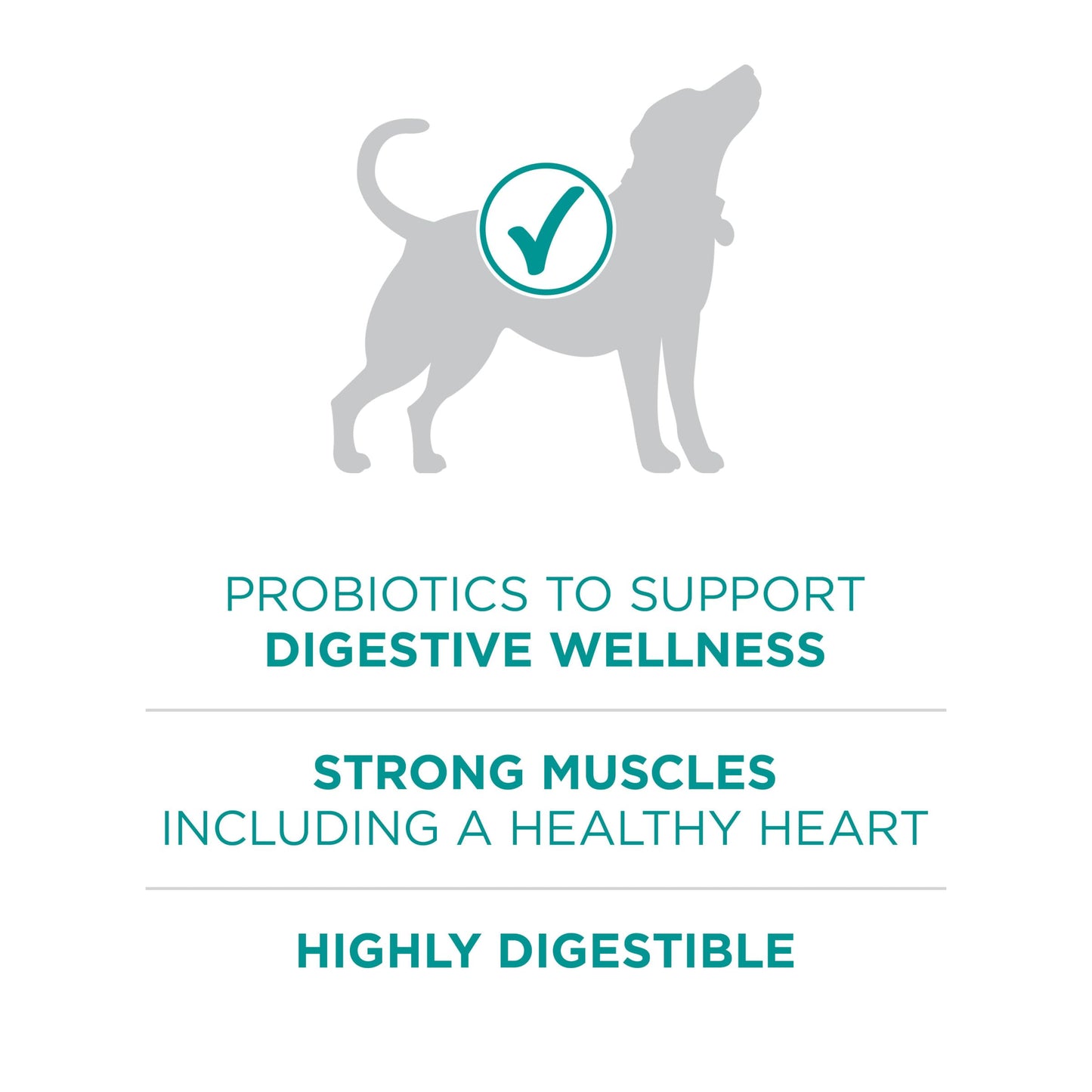 Digestive Health Formula Dry Dog Food Natural with Added Vitamins, Minerals and Nutrients - 31.1 lb. Bag