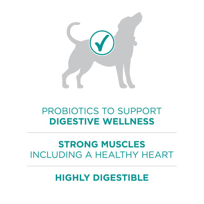 Digestive Health Formula Dry Dog Food Natural with Added Vitamins, Minerals and Nutrients - 31.1 lb. Bag