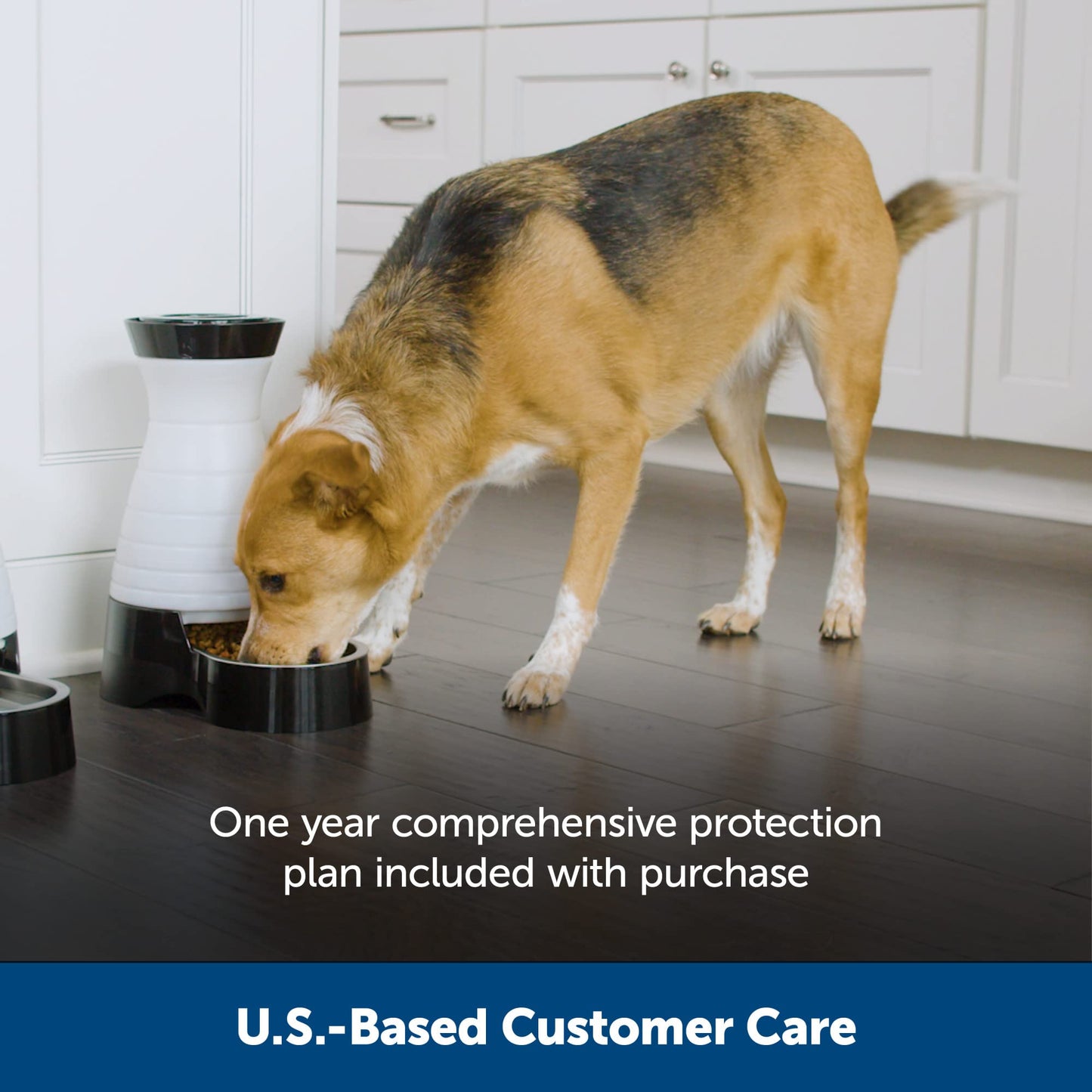 PetSafe Healthy Pet Food Station - Medium, 4 lb Kibble Capacity - Gravity Pet Feeder Dry Food Dispenser, Automatic Cat Feeder, Small to Medium Dog Feeder - Removable Stainless Steel Bowl Included