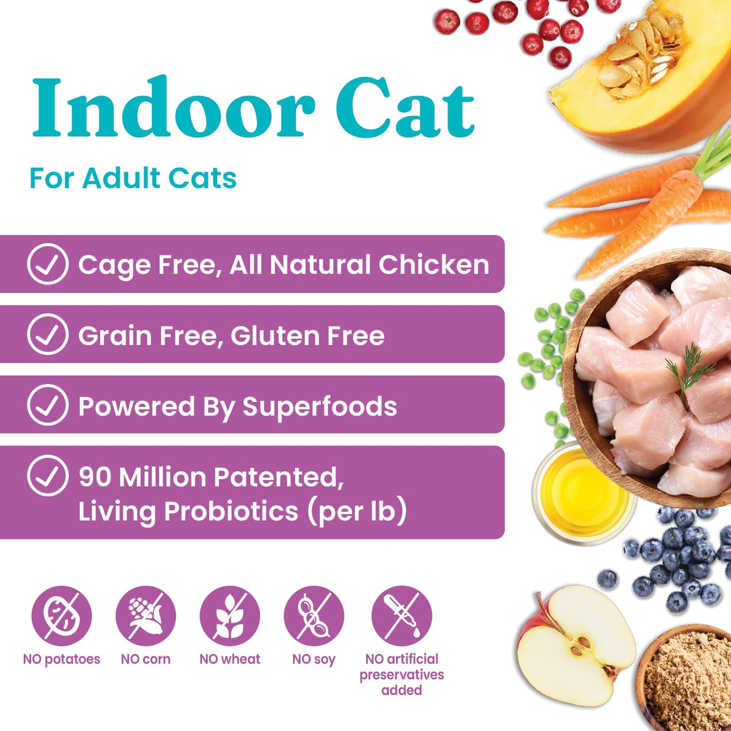 Solid Gold Indoor Dry Cat Food - Let's Stay in Cat Food Dry Kibble for Indoor Cats - Hairball & Sensitive Stomach - Grain & Gluten Free - Probiotics & Fiber for Digestive Health - Chicken - 6lb