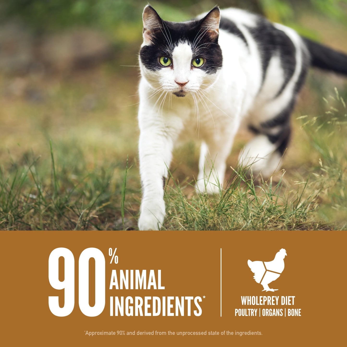 Original Cat, Grain Free Dry Cat Food for All Life Stages, With WholePrey Ingredients, 4lb