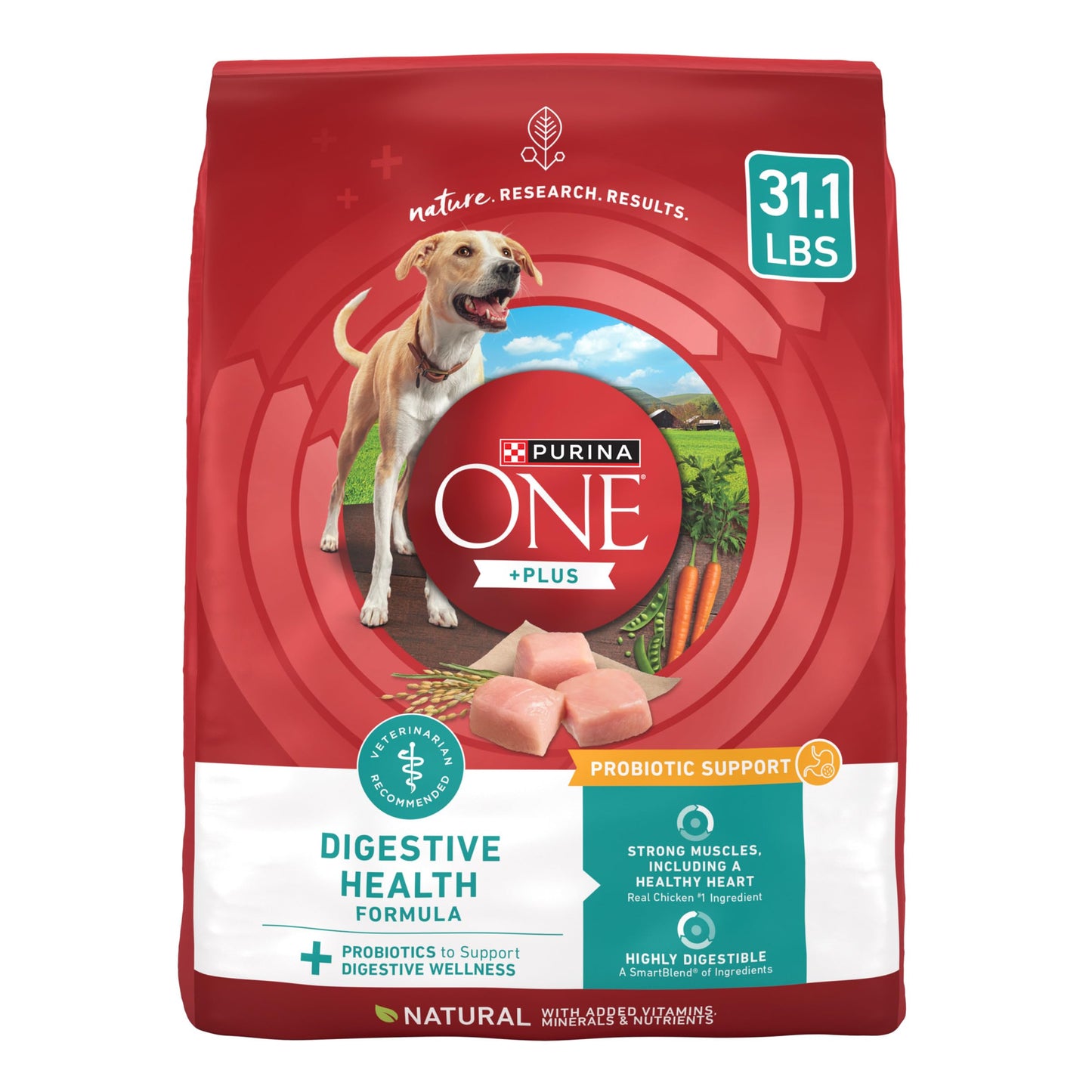 Digestive Health Formula Dry Dog Food Natural with Added Vitamins, Minerals and Nutrients - 31.1 lb. Bag