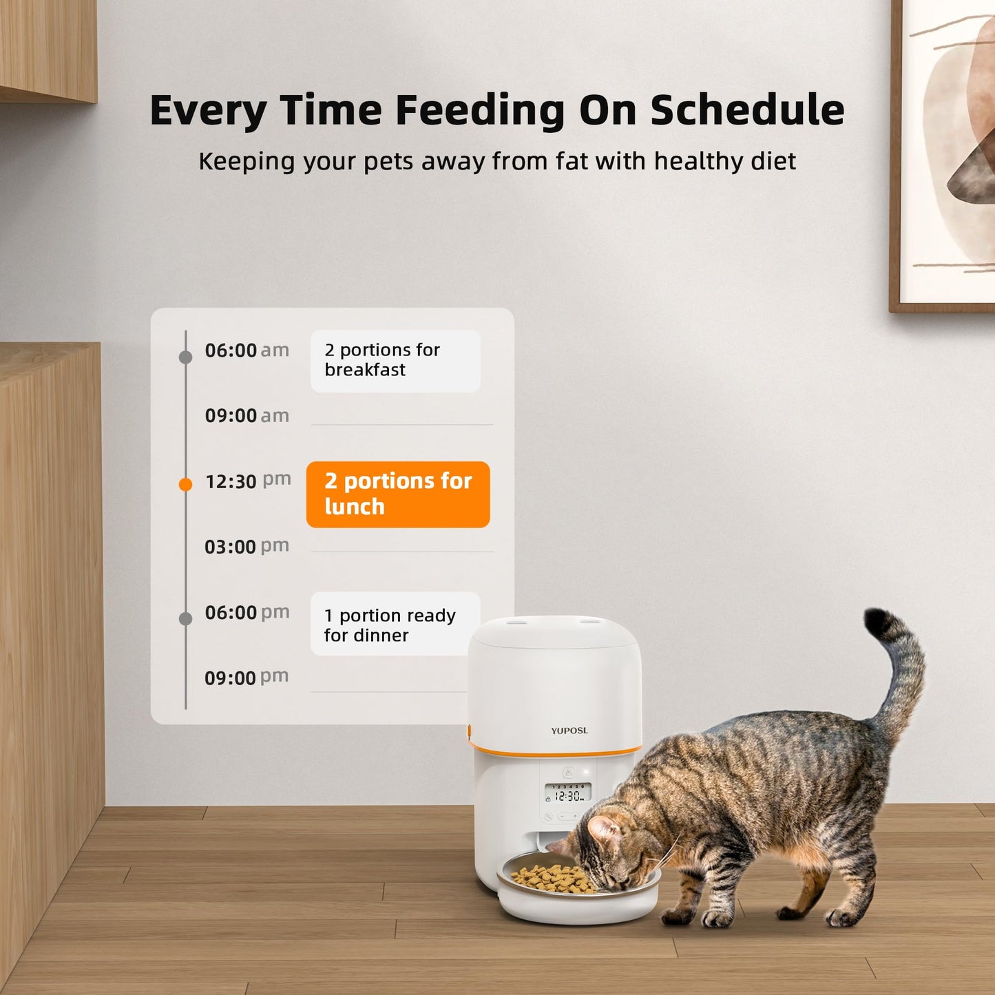 Cat Food Dispenser Easy to Use, Timed Automatic Pet Feeder