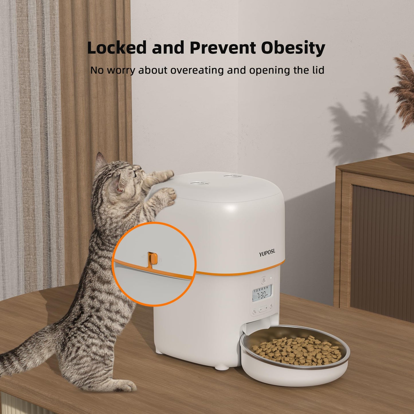 Cat Food Dispenser Easy to Use, Timed Automatic Pet Feeder