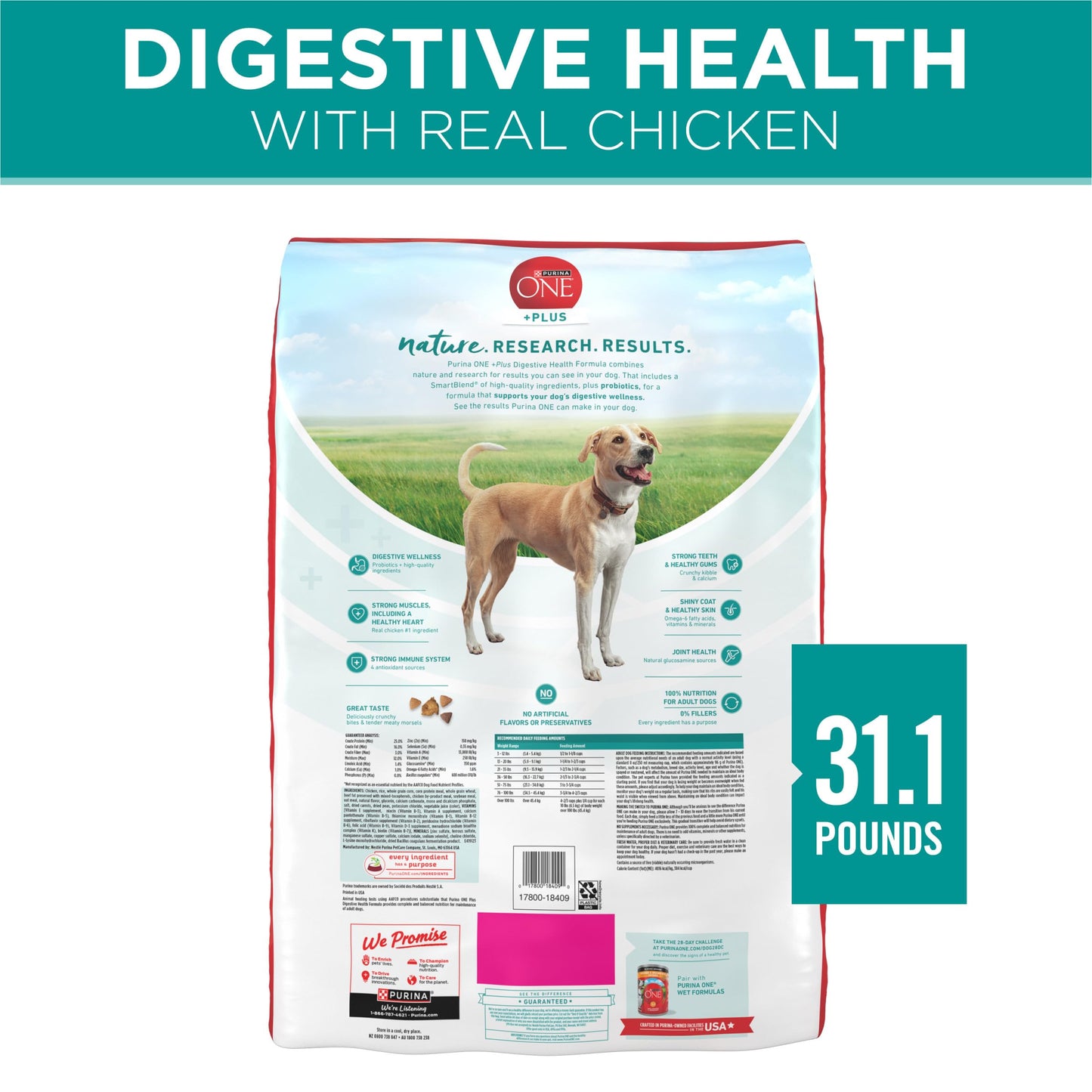 Digestive Health Formula Dry Dog Food Natural with Added Vitamins, Minerals and Nutrients - 31.1 lb. Bag