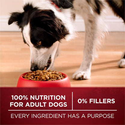 Natural High Protein Dry Dog Food Dry True Instinct with Real Beef and Salmon With Bone Broth and Added Vitamins, Minerals and Nutrients - 27.5 lb. Bag