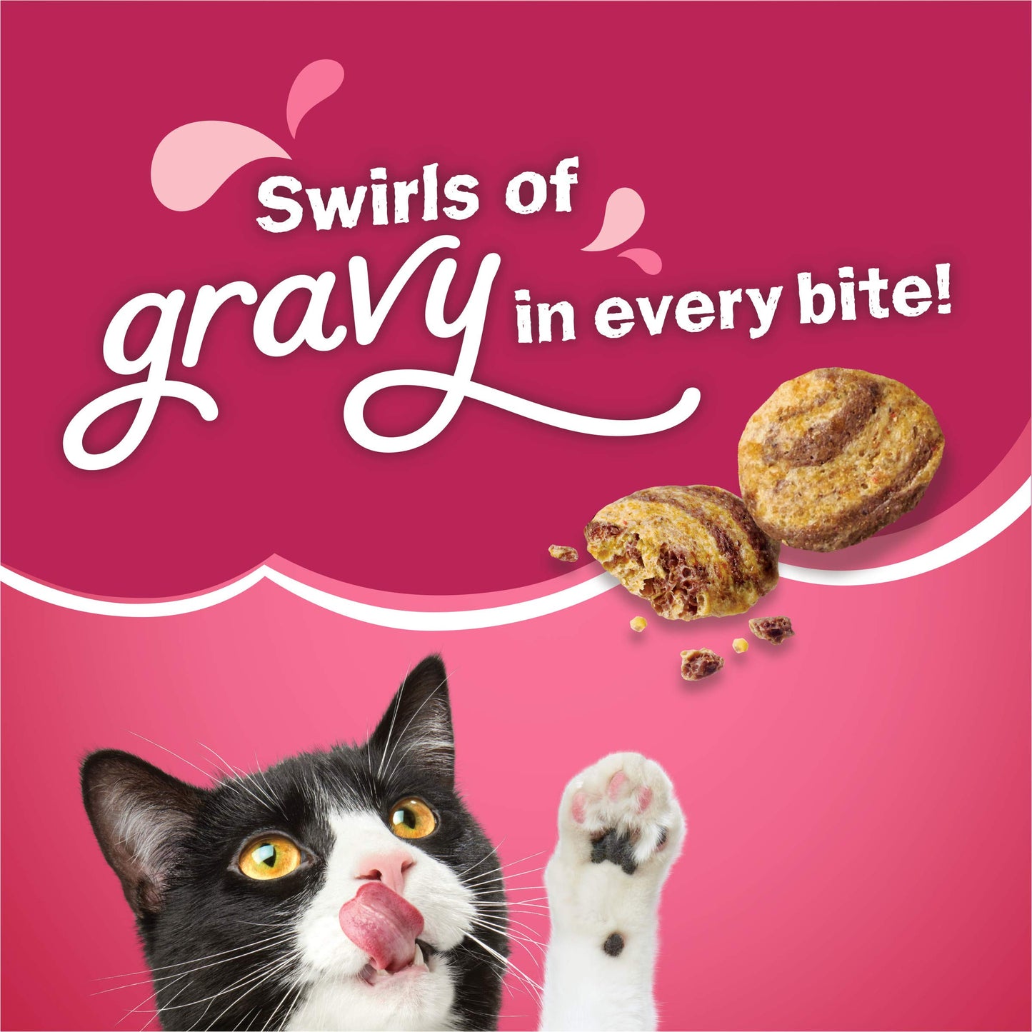 Dry Cat Food, Gravy Swirlers - 22 lb. Bag